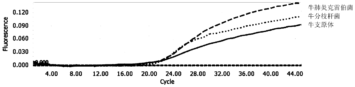 Multi-fluorescent quantitative PCR reagent kit capable of synchronously detecting three bovine respiratory pathogens, and multi-fluorescent quantitative PCR detection method capable of synchronously detecting three bovine respiratory pathogens