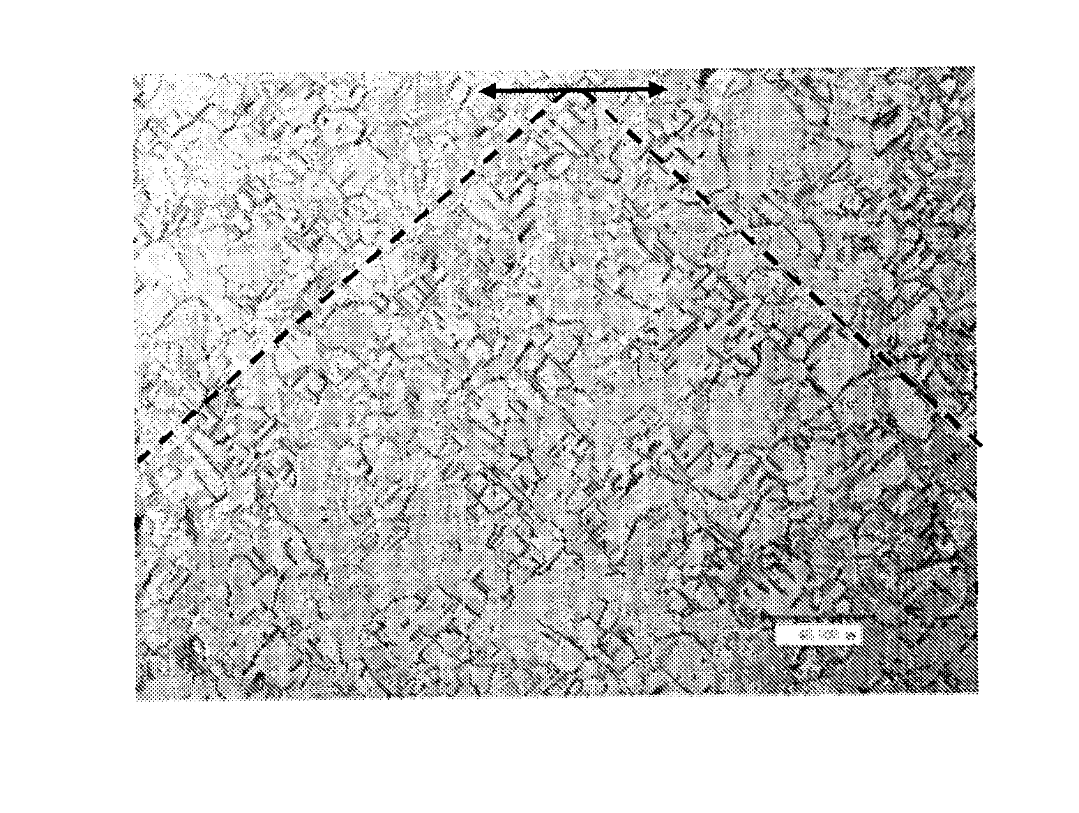 Copper alloy sheet and method for producing same