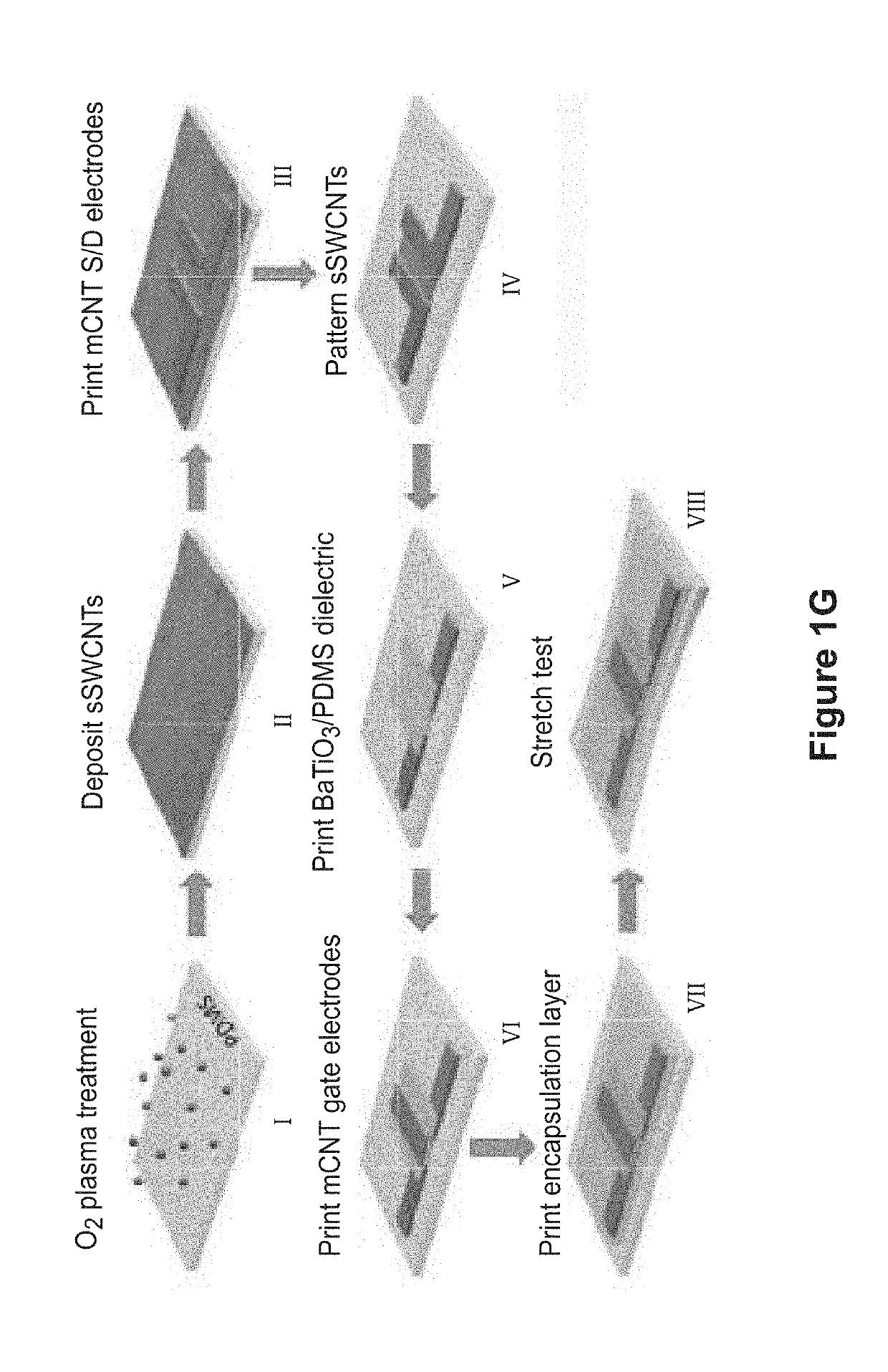 Fully-Printed Stretchable Thin-Film Transistors and Integrated Logic Circuits