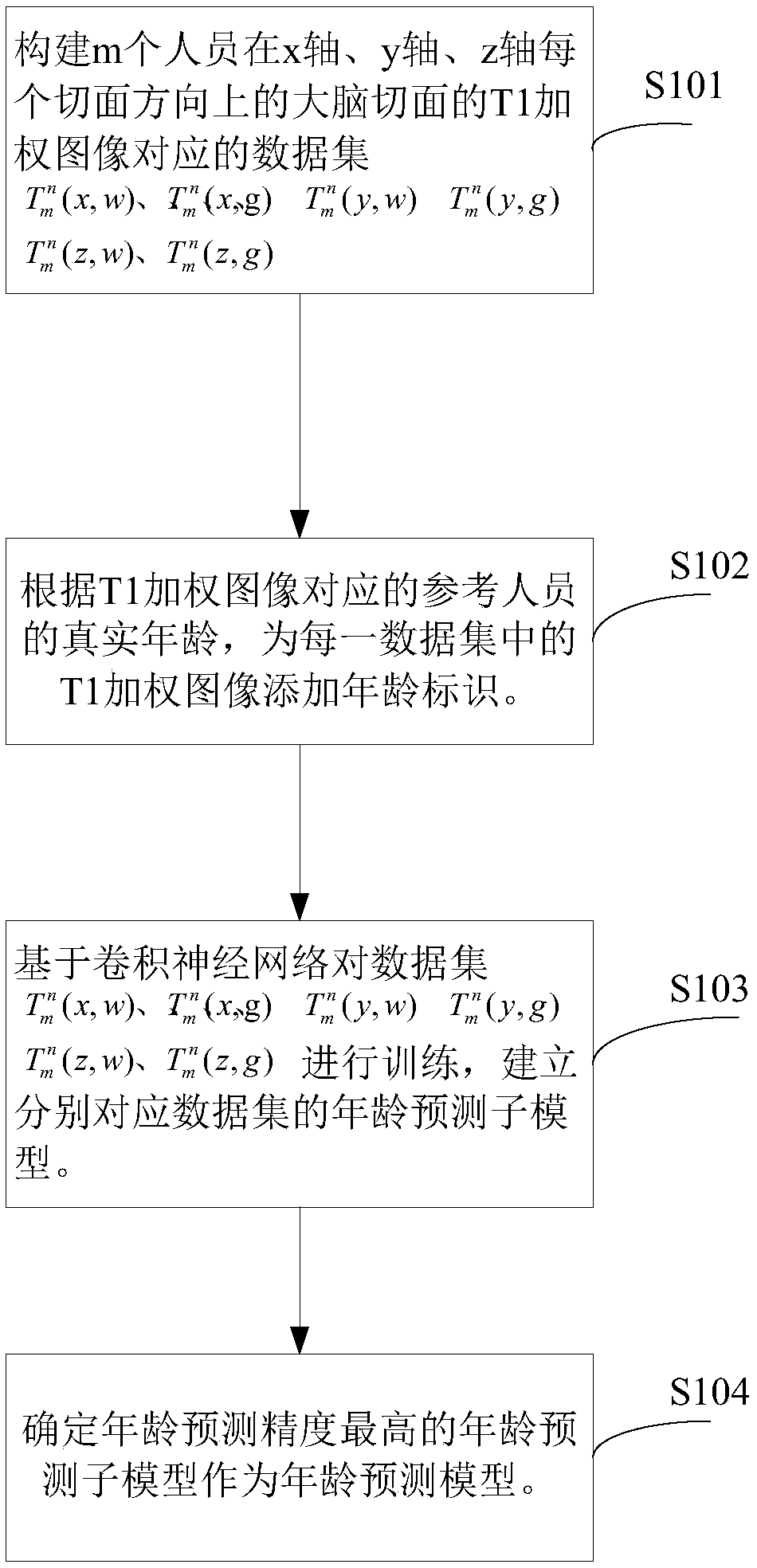 Method and device for establishing age prediction model, age prediction method and device