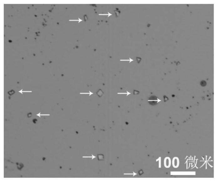 Preparation method of two-dimensional rhenium sulfide-molybdenum sulfide vertical heterostructure