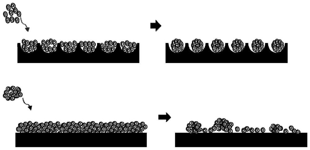 Hemispherical micropore array substrate for three-dimensional cell sphere culture and preparation method of hemispherical micropore array substrate