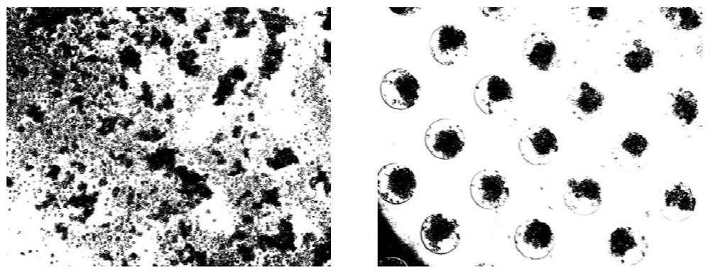 Hemispherical micropore array substrate for three-dimensional cell sphere culture and preparation method of hemispherical micropore array substrate