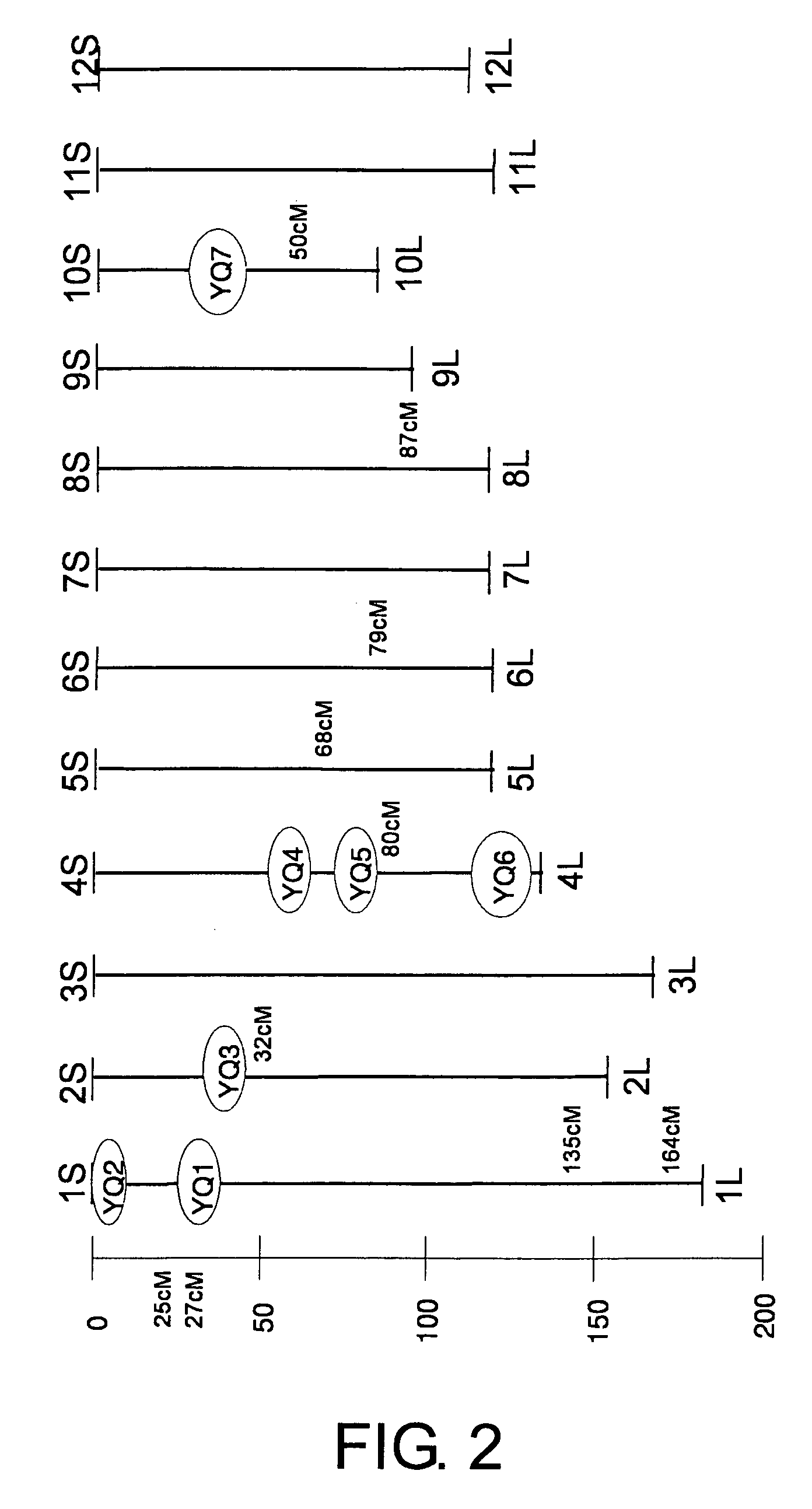 Genes for increasing grain yield and uses thereof