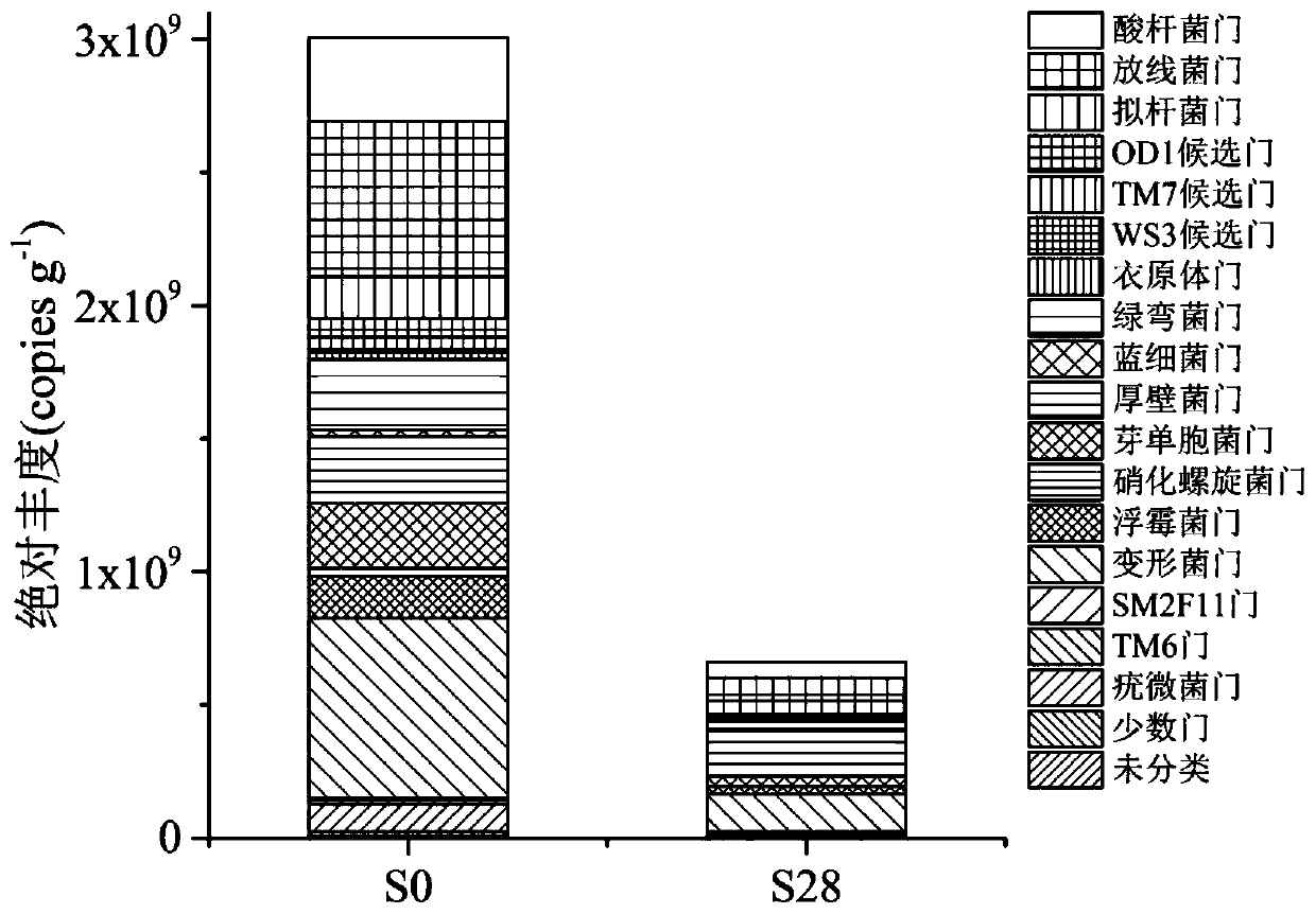 A Method for Absolute Abundance Determination of Microbial Community Structure in the Environment