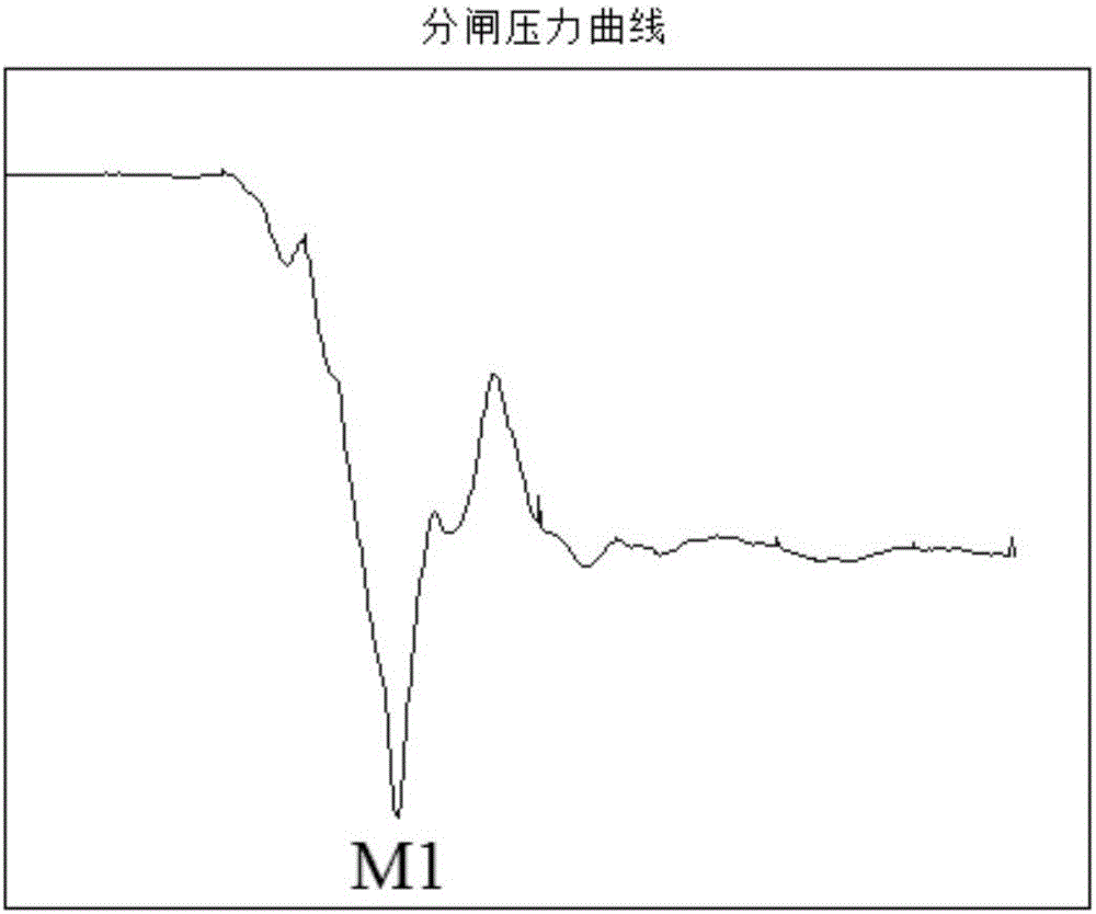 Breaker rigid opening point detecting method and system based on opening pressure curve