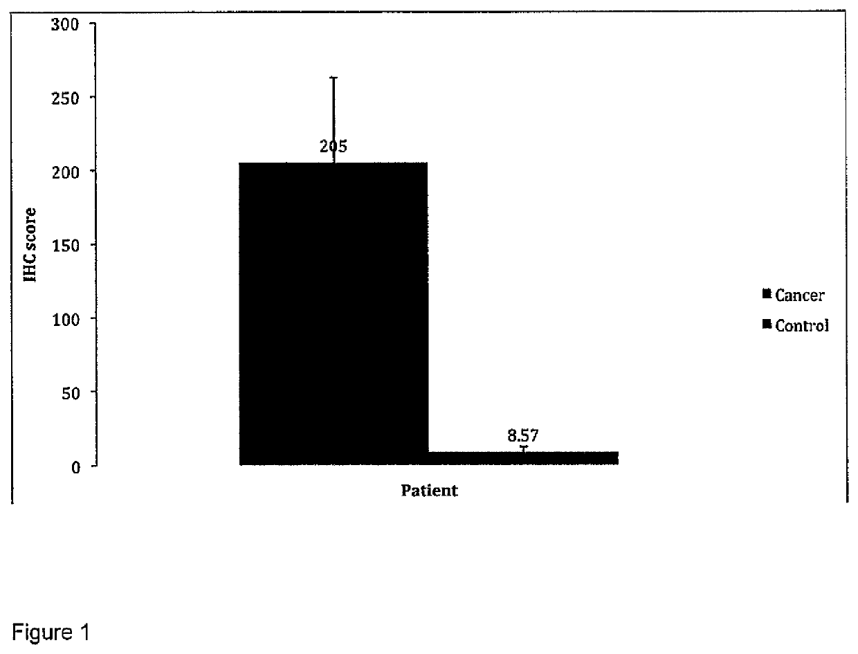 Methionine aminopeptidase overexpression in the peripheral blood and peripheral blood mononuclear cells is a marker for colorectal cancer screening, diagnosis and prognosis