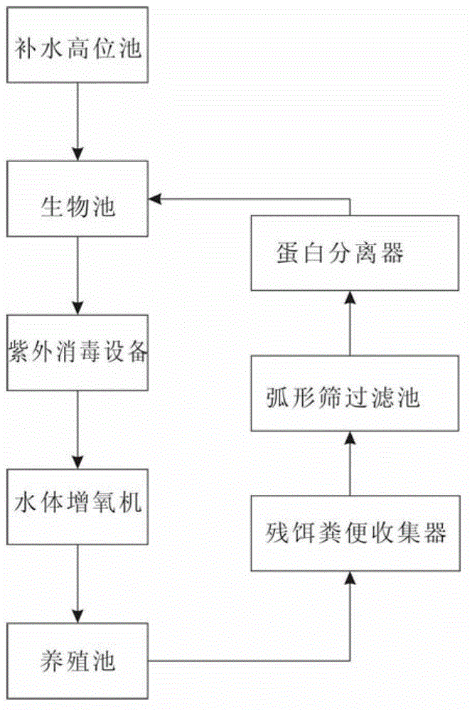 Water circulation system for adult fish culture pond