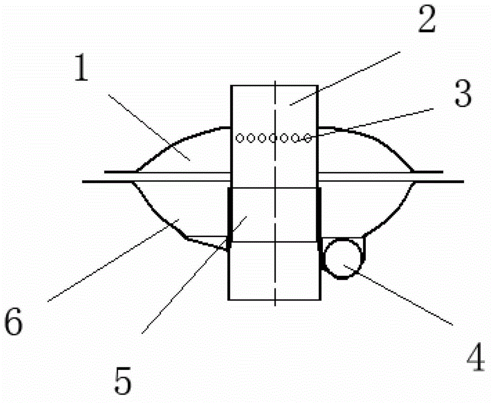 Water circulation system for adult fish culture pond