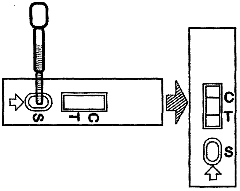 Production method of reagent board for detecting chloramphenicol in aquatic product