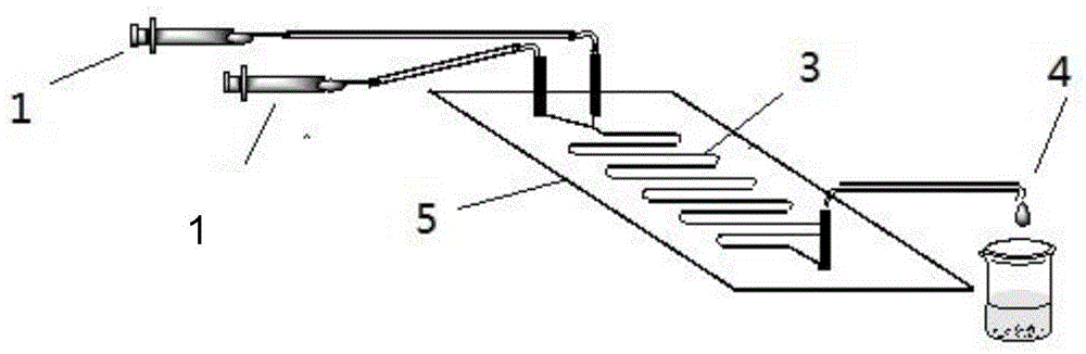 Method for synthesizing 1-(6-nitrobenzimidazolyl)ethyl palmitate on line under catalysis of lipase