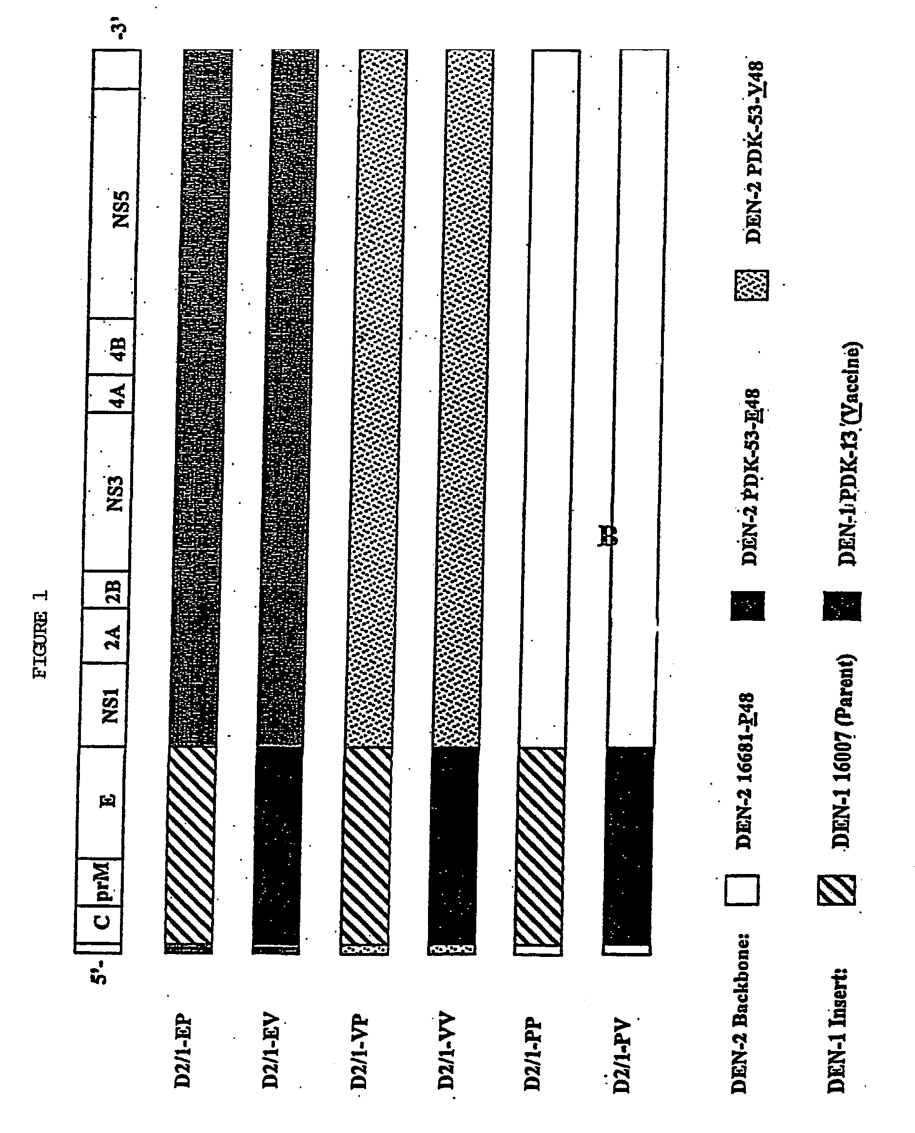 Avirulent, immunogenic flavivirus chimeras