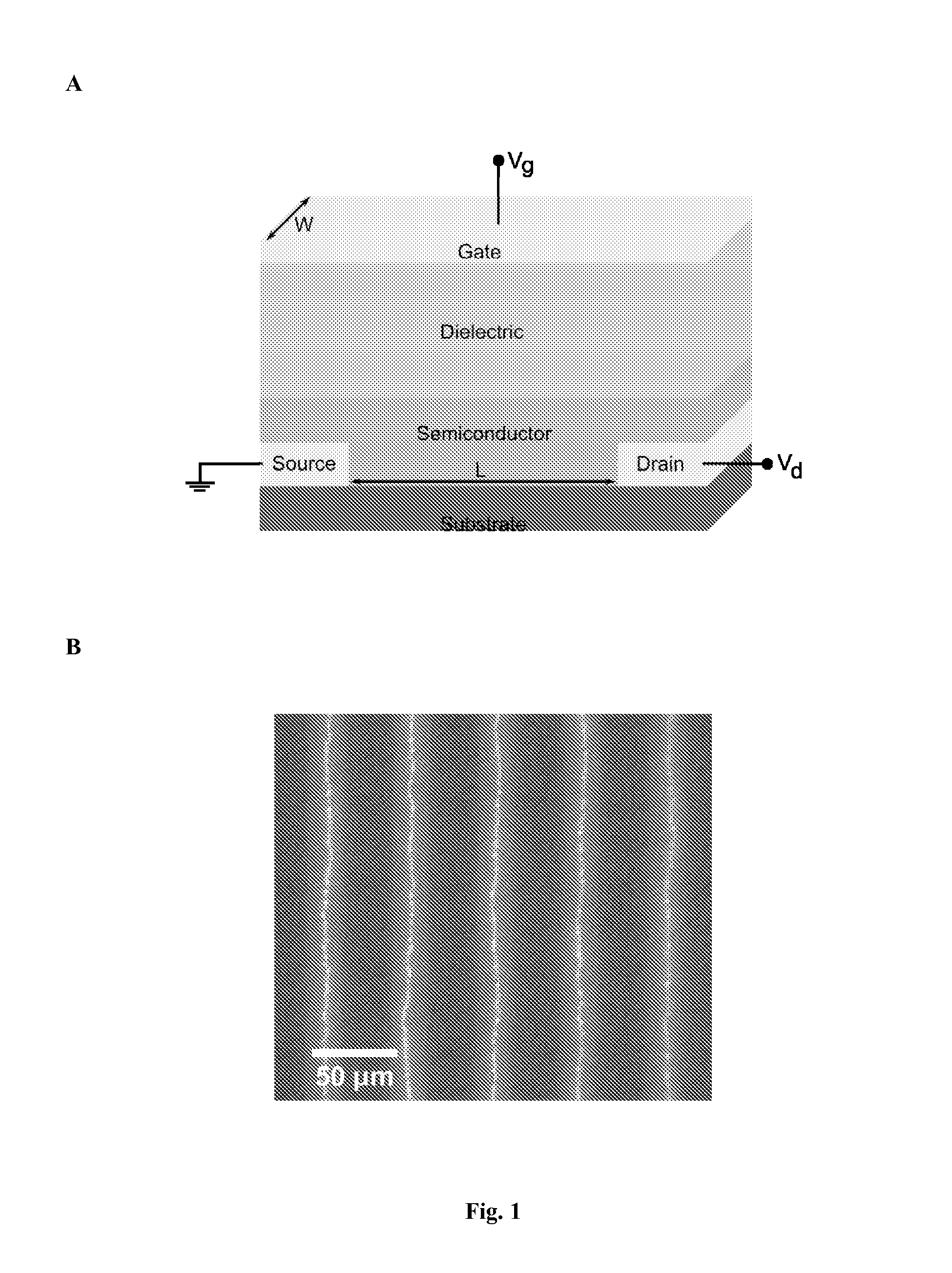 Optoelectronic Devices