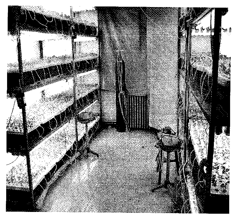 Establishment for Malus hydroponic system