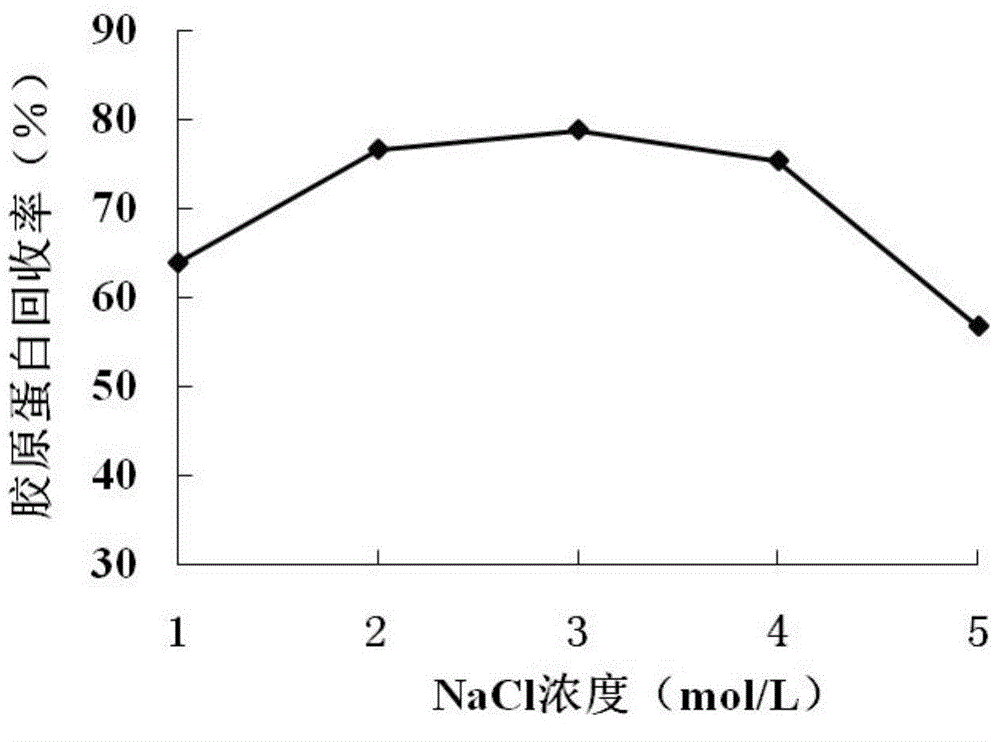 Method for purifying collagen derived from pelodiscus sinensis