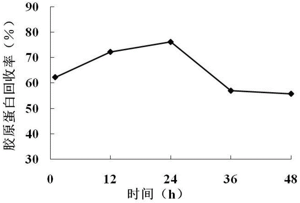 Method for purifying collagen derived from pelodiscus sinensis