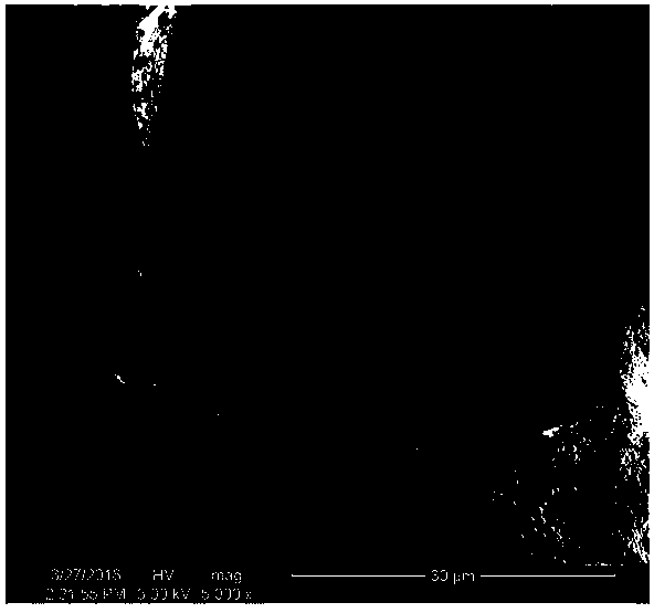 Kadsurae Caulis-loading I/III type collagen composite scaffold