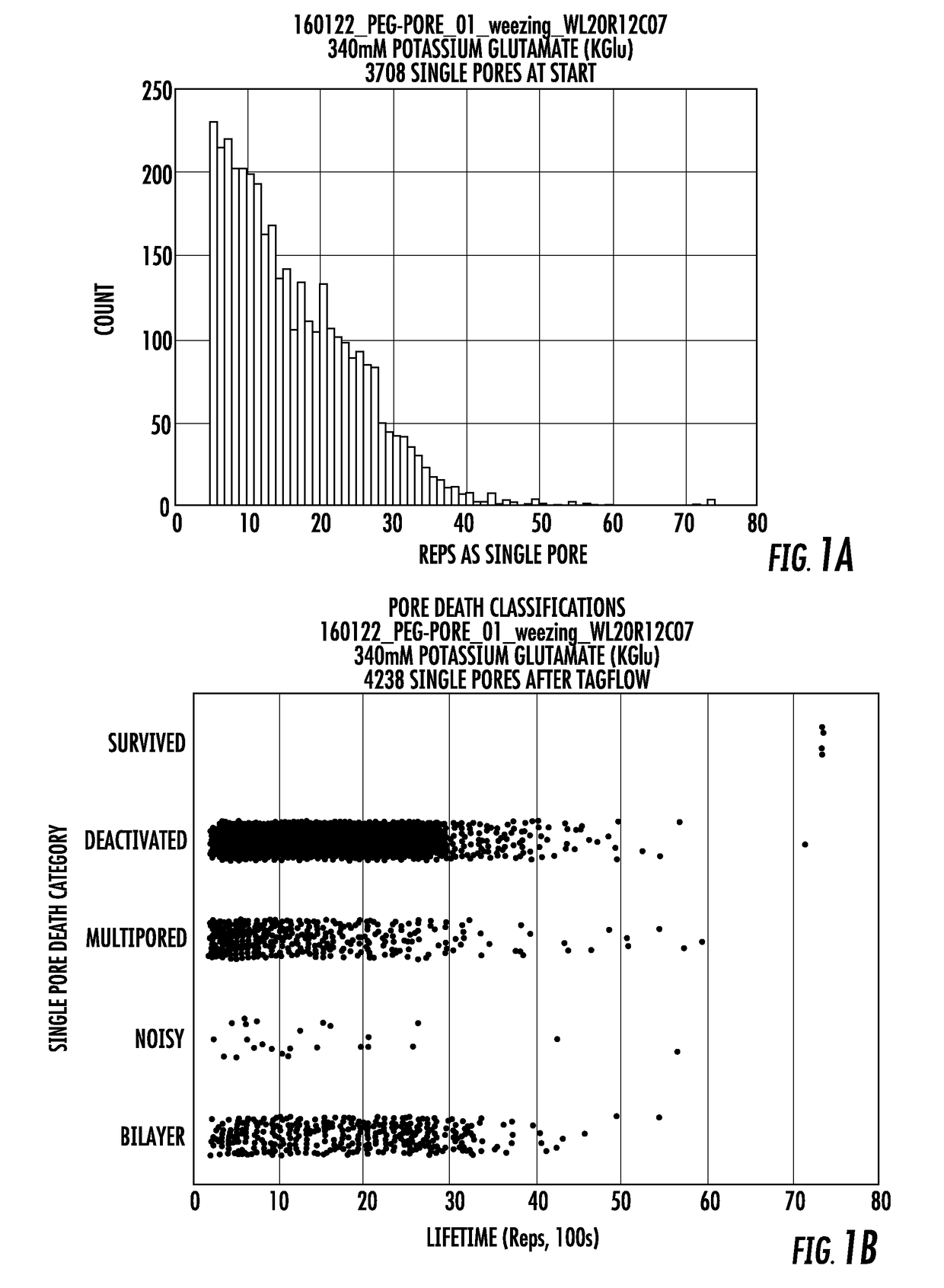 Long lifetime alpha-hemolysin nanopores