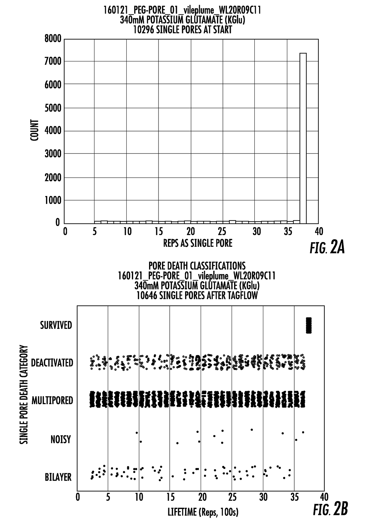 Long lifetime alpha-hemolysin nanopores