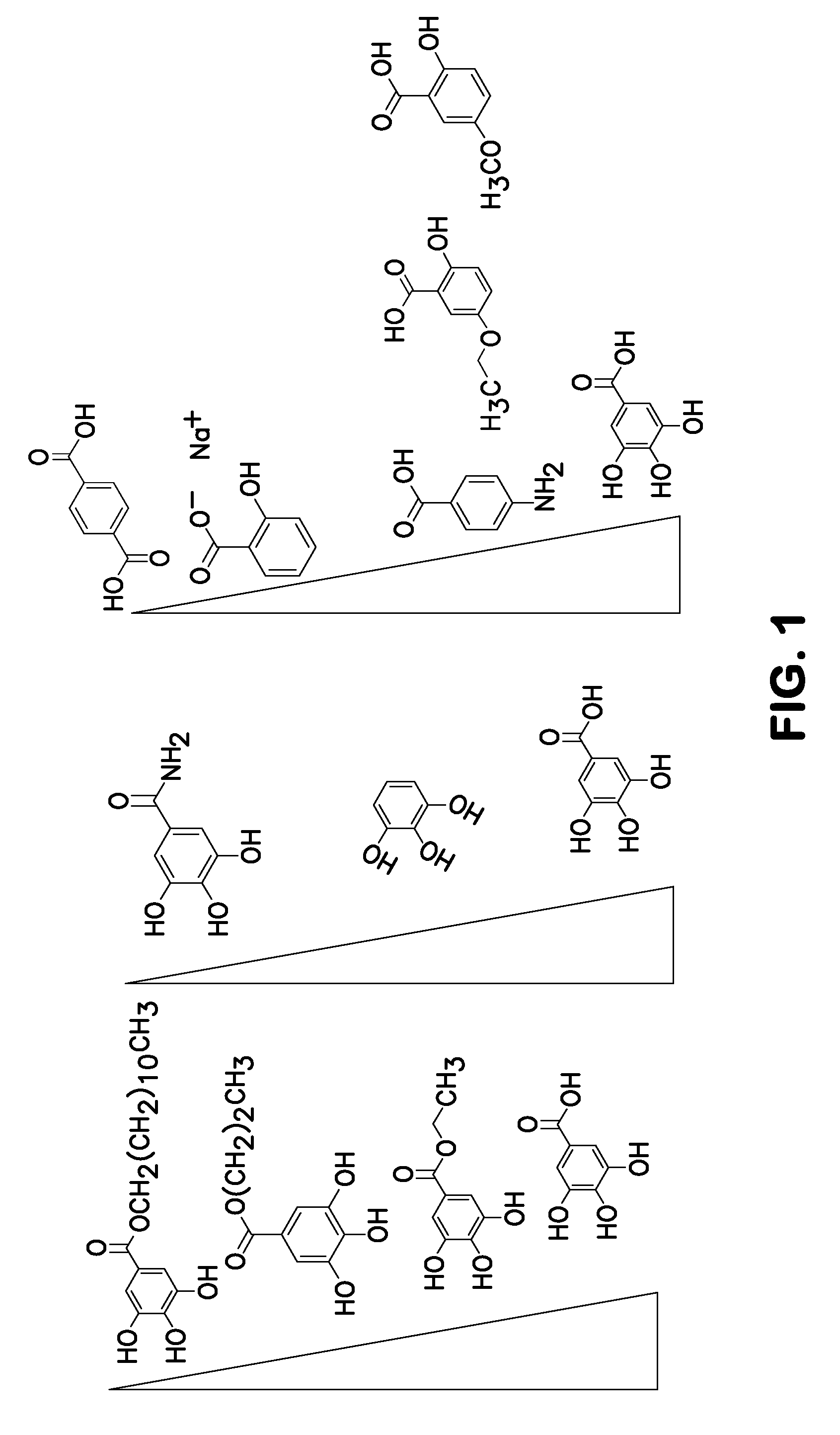 Method for nucleotide detection