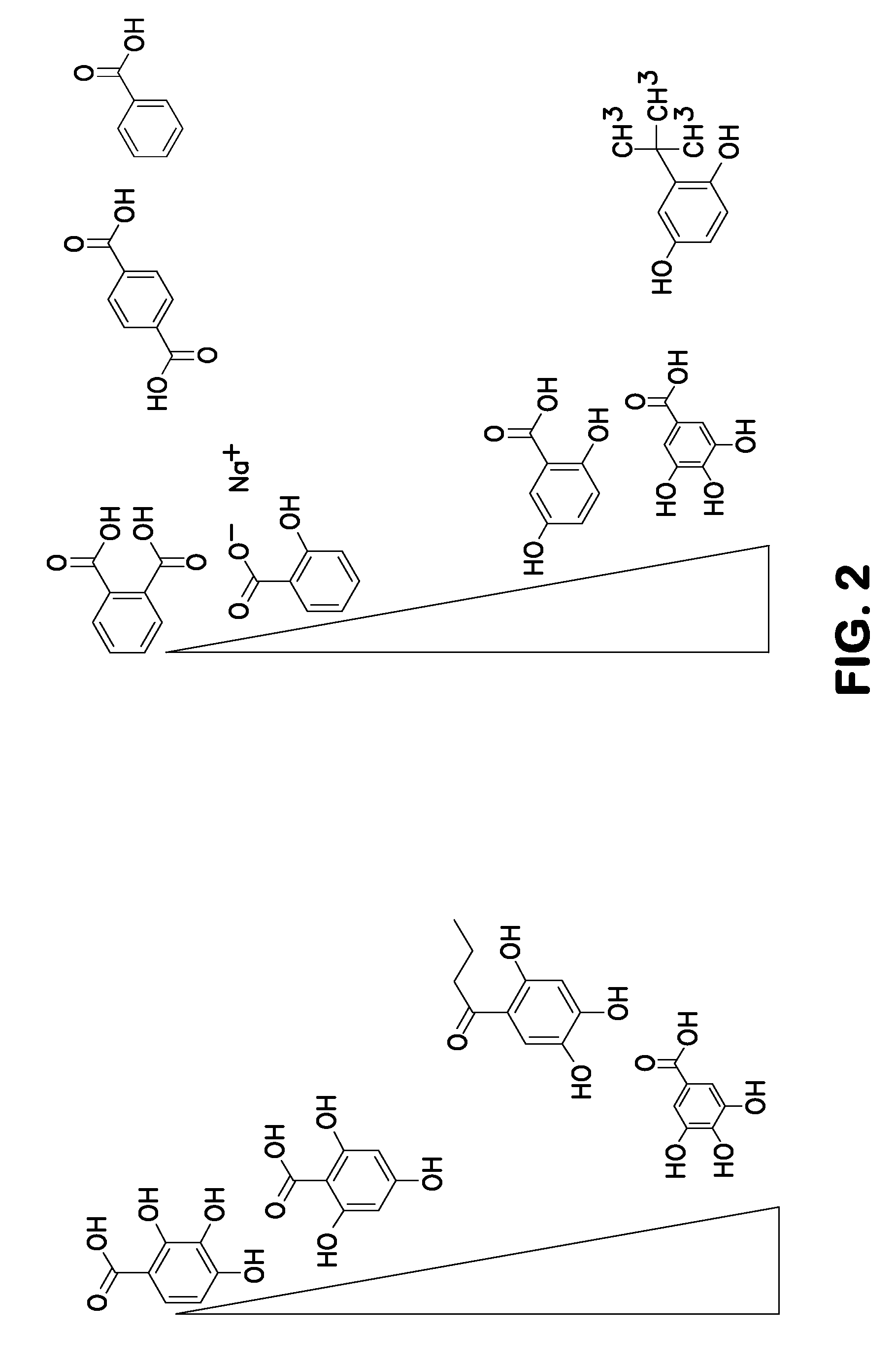 Method for nucleotide detection