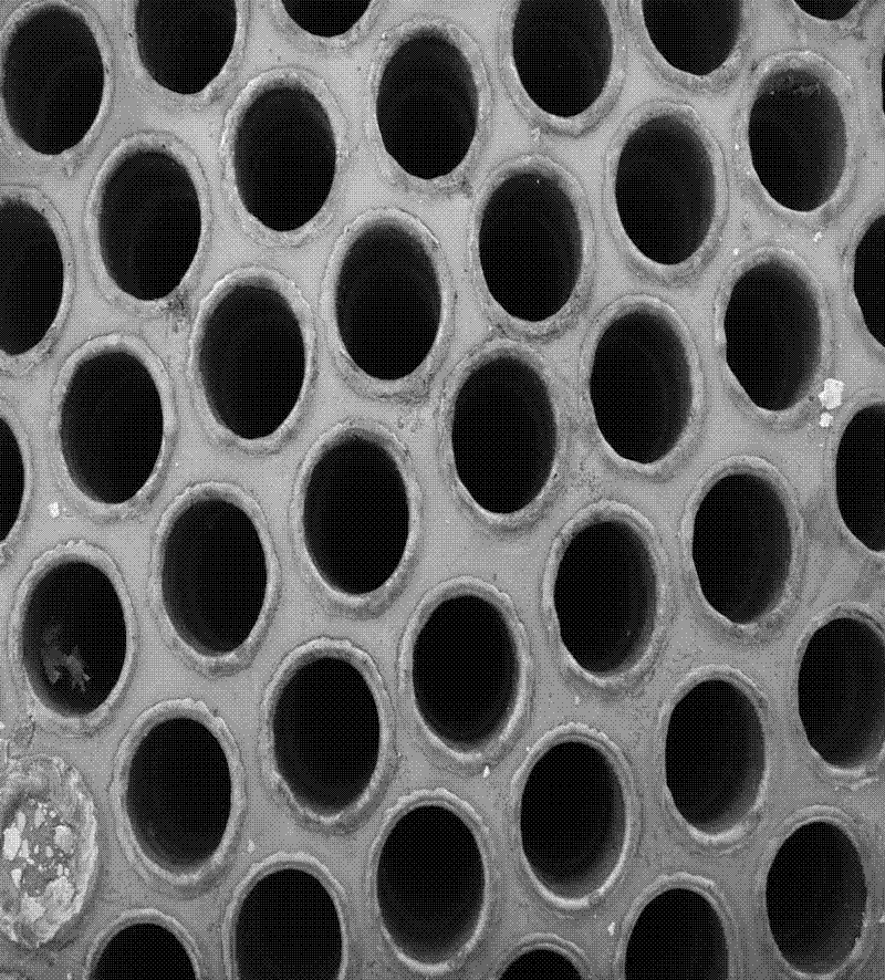 Chemical cleaning method for scales on tube of evaporator for producing ammonium sulfate