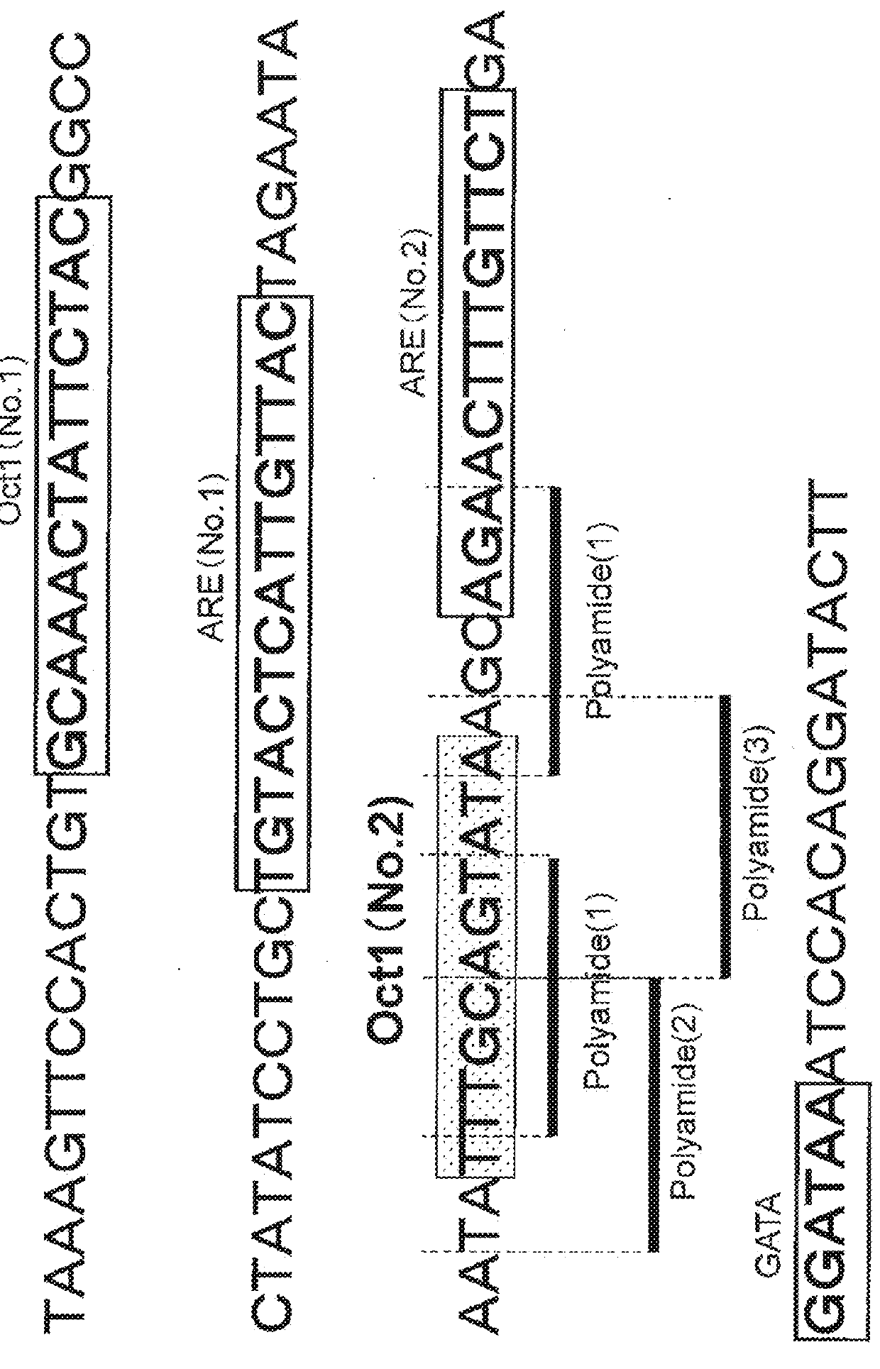 Novel pi polyamide