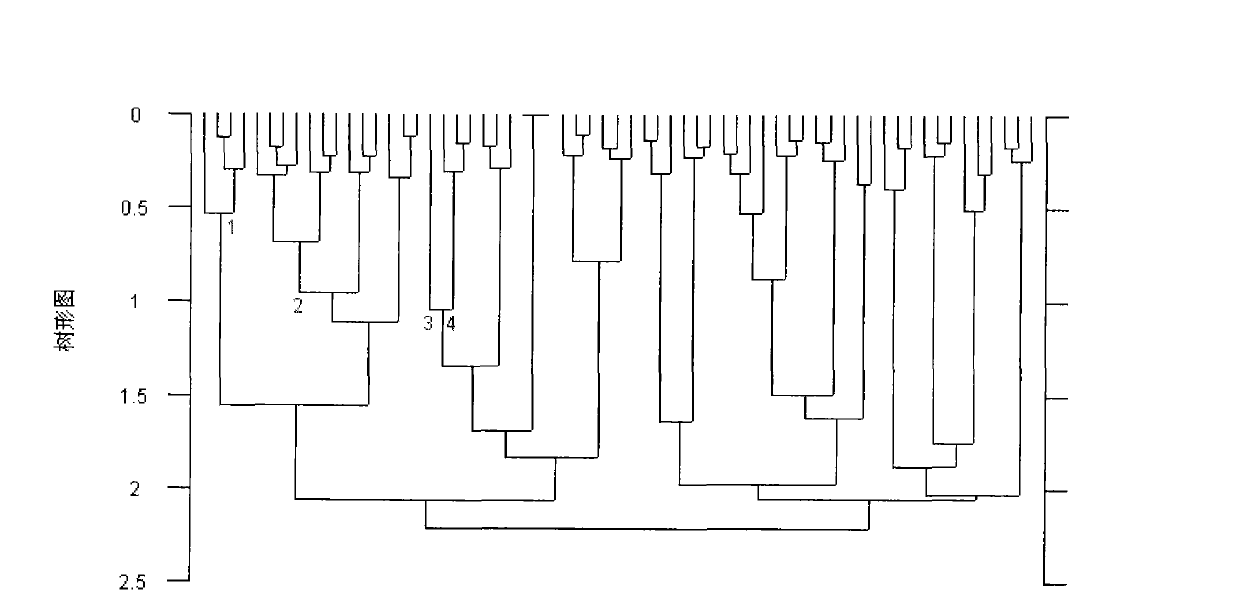 Method for authenticating Xiangshui rice by near-infrared spectroscopy