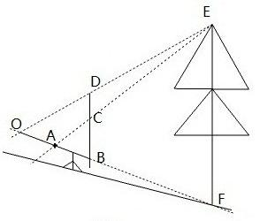 Device for measuring height of tree