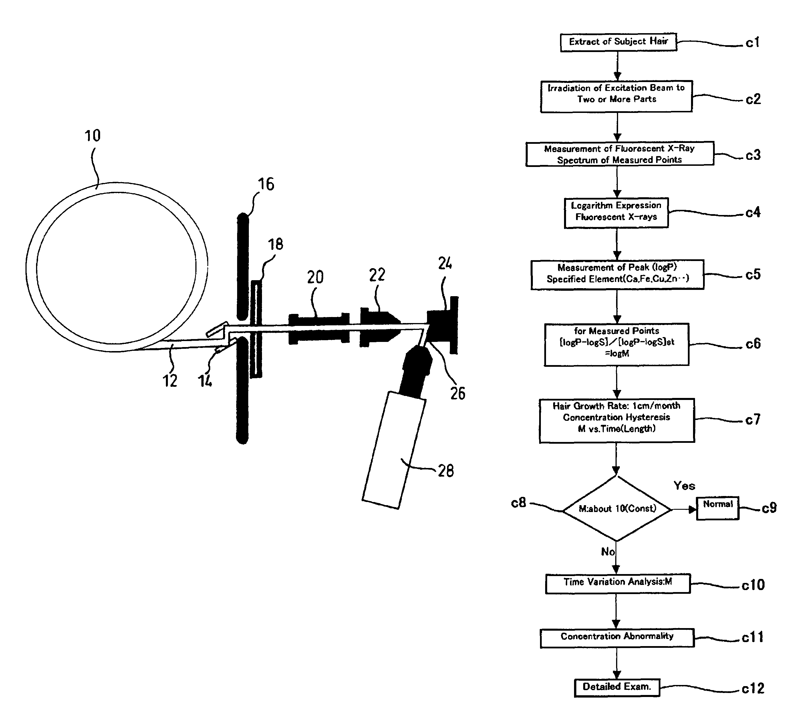 Method for evaluating physical conditions using head hair or body hair