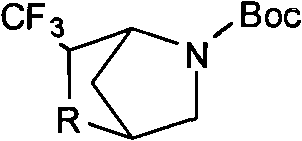 3-trifluoromethyl-5-tert-butoxycarbonyl-2,5-diheterobicyclo[2.2.1]heptane and preparation method thereof