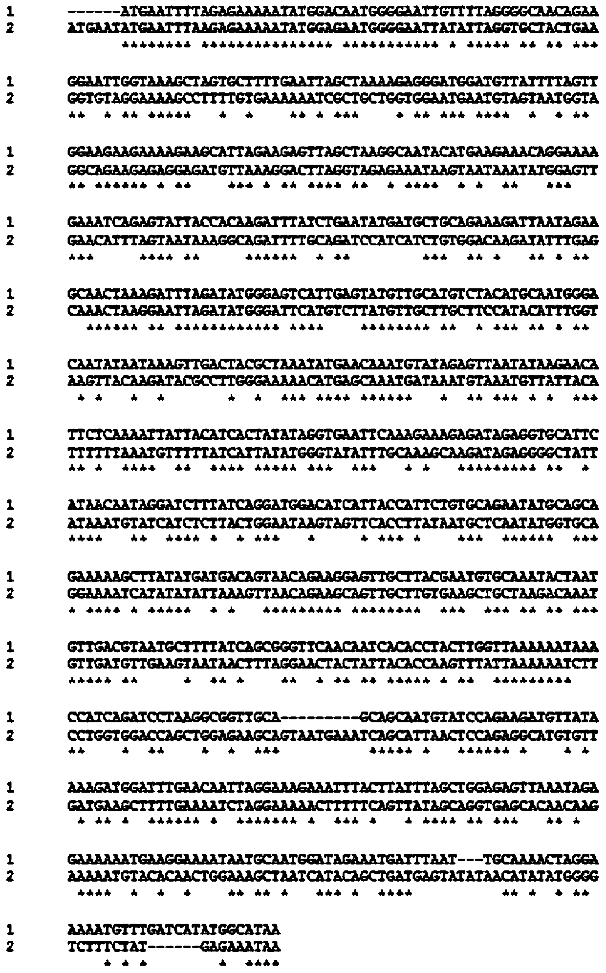 7β-hydroxysteroid dehydrogenase gene y1-b-1