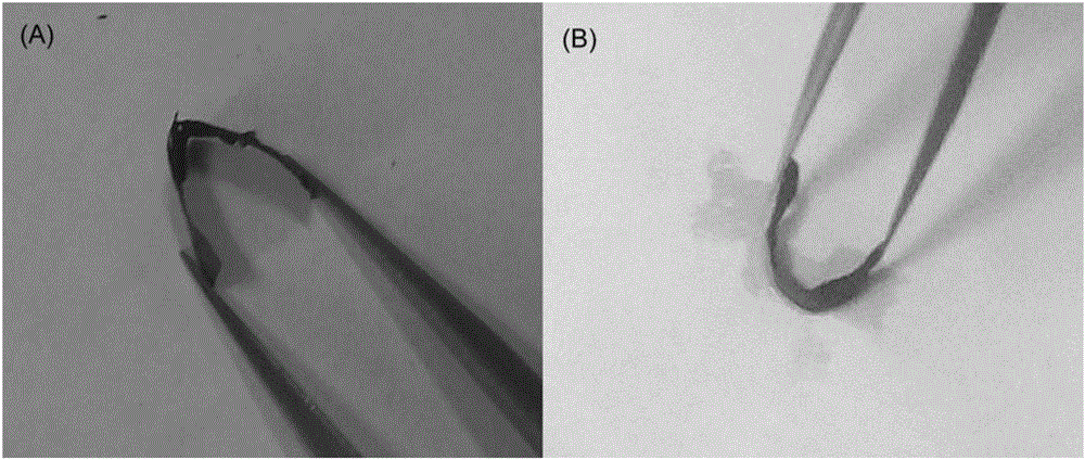 Method for preparing electrode material of sandwich structured composite graphene oxide paper