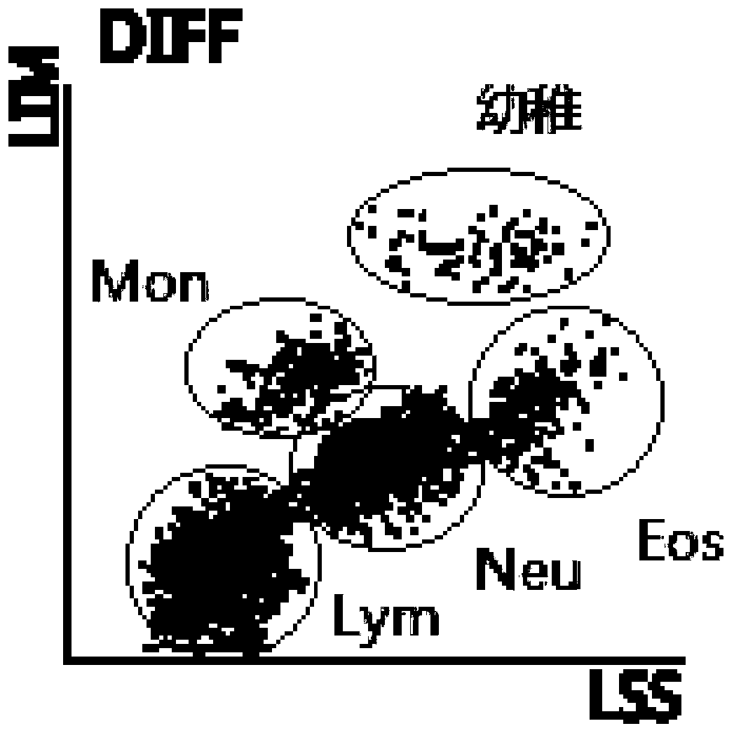 White blood cell classification reagent and method