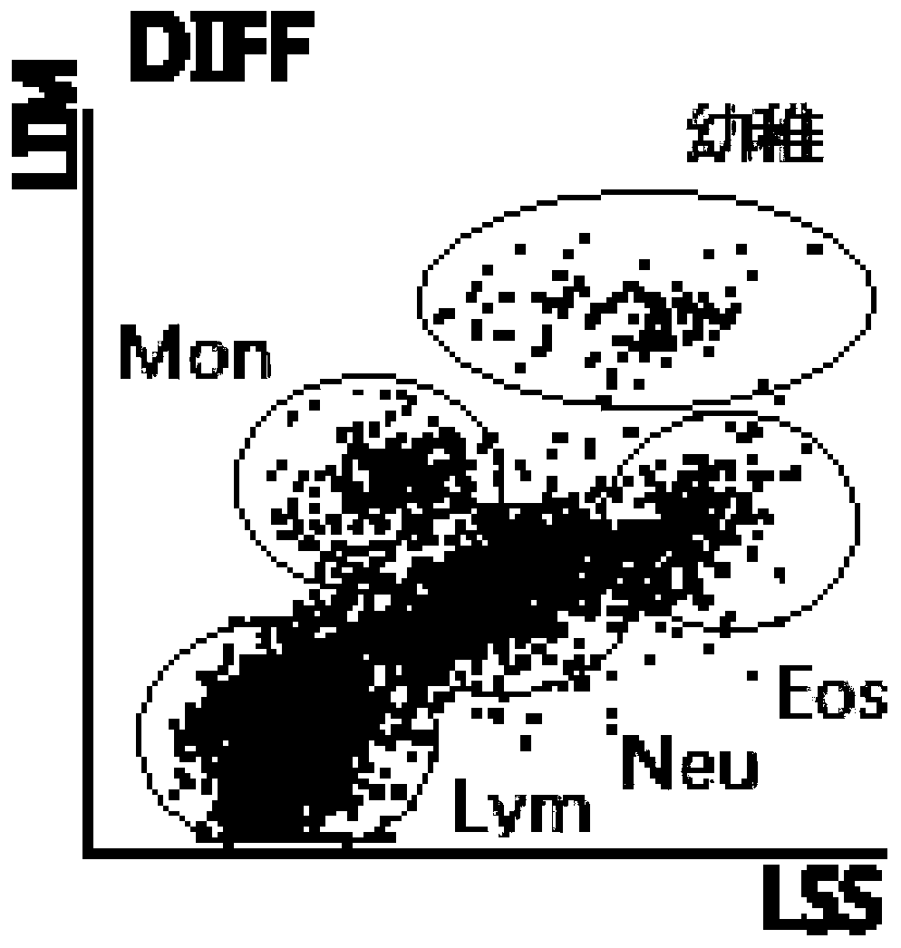 White blood cell classification reagent and method