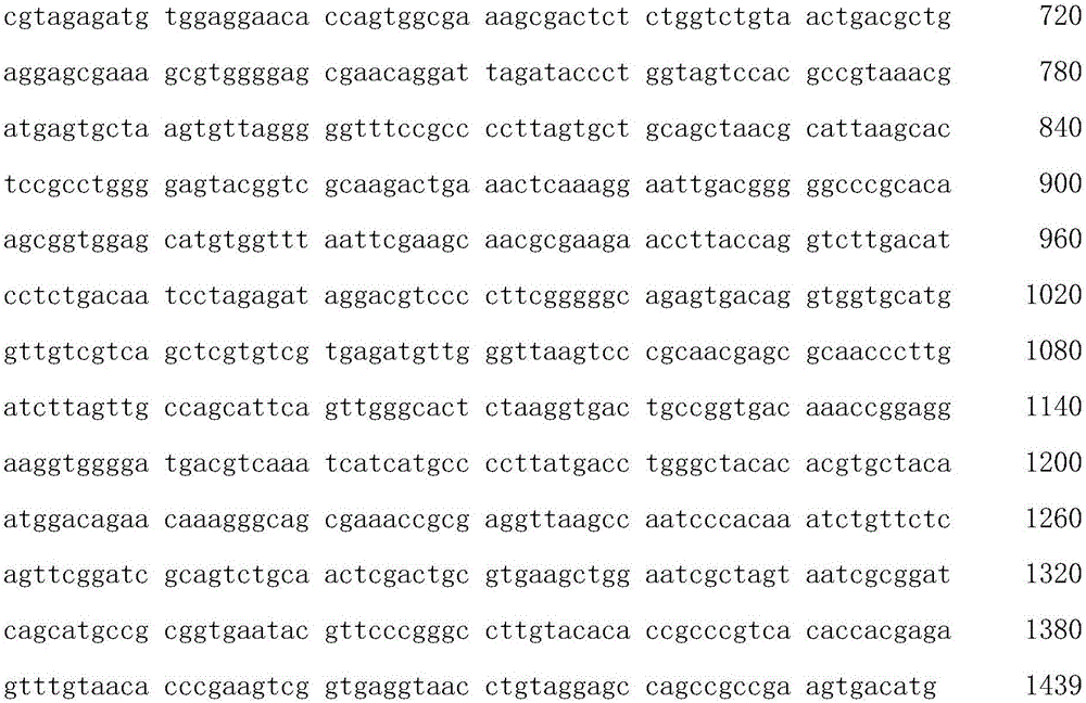 Bitterness-free shrimp-type low-molecular-weight peptides as well as preparation method and application thereof