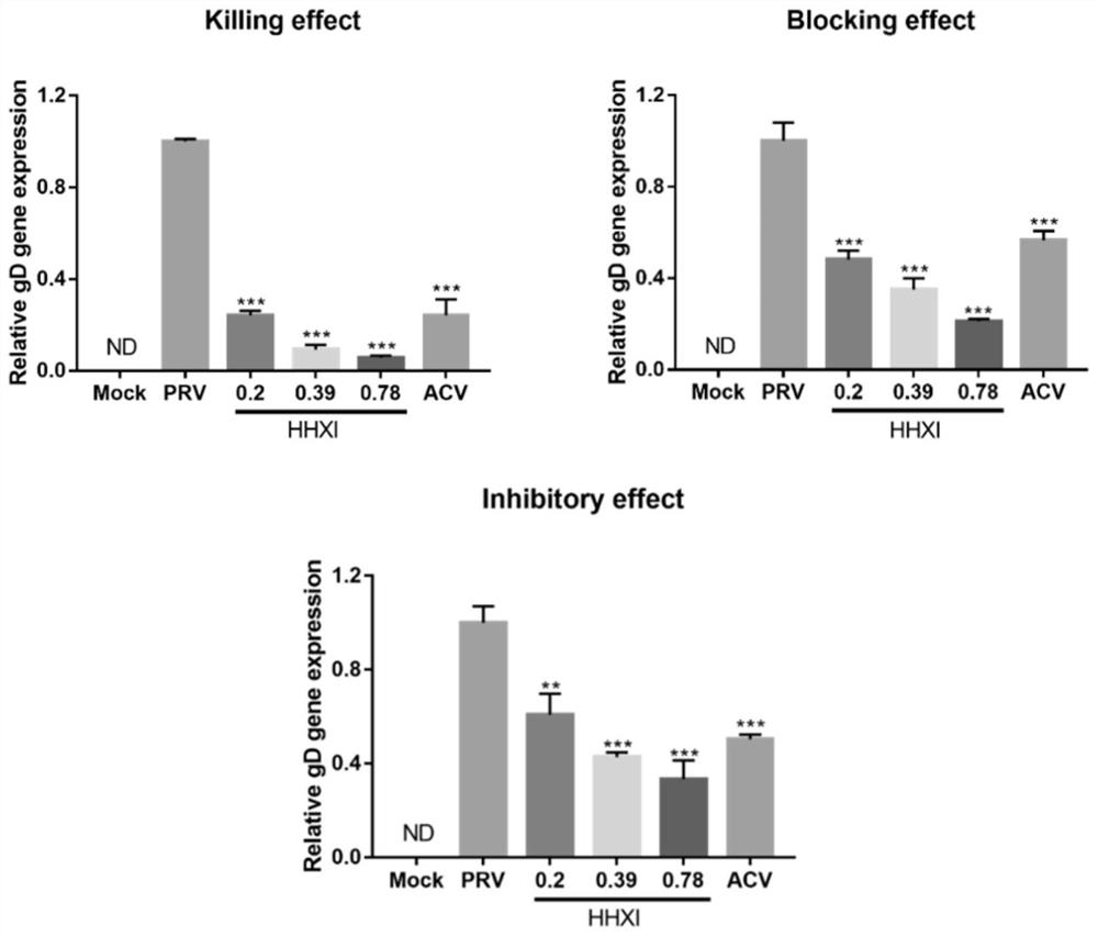 Application of anise plant or extract thereof in preparation of anti-animal virus medicine