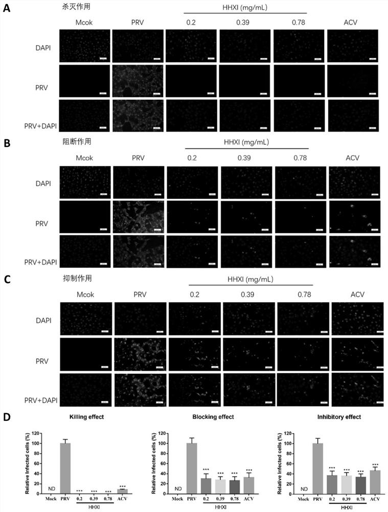 Application of anise plant or extract thereof in preparation of anti-animal virus medicine