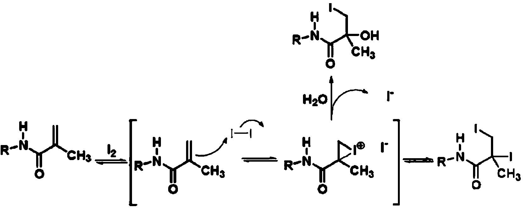 Dye-sensitized solar cell comprising ion layer and method for manufacturing same