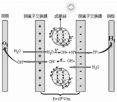 Preparation of photoelectric catalytic membrane for preparing hydrogen by decomposing water