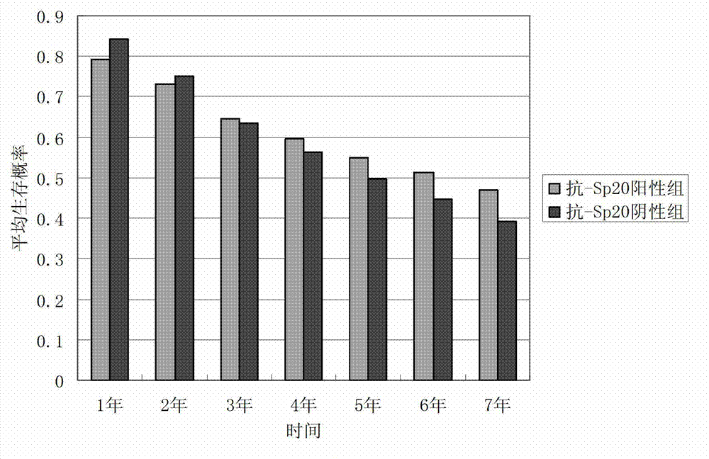 Specific autoantibody of PBC (primary biliary cirrhosis) and application