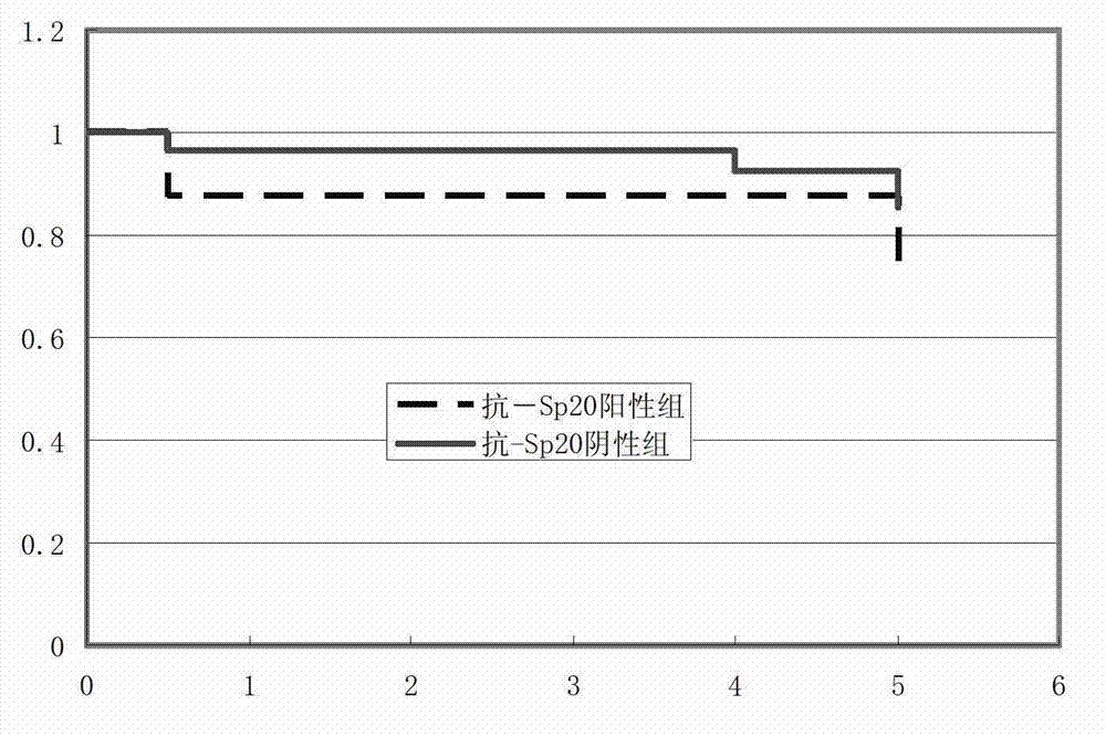 Specific autoantibody of PBC (primary biliary cirrhosis) and application