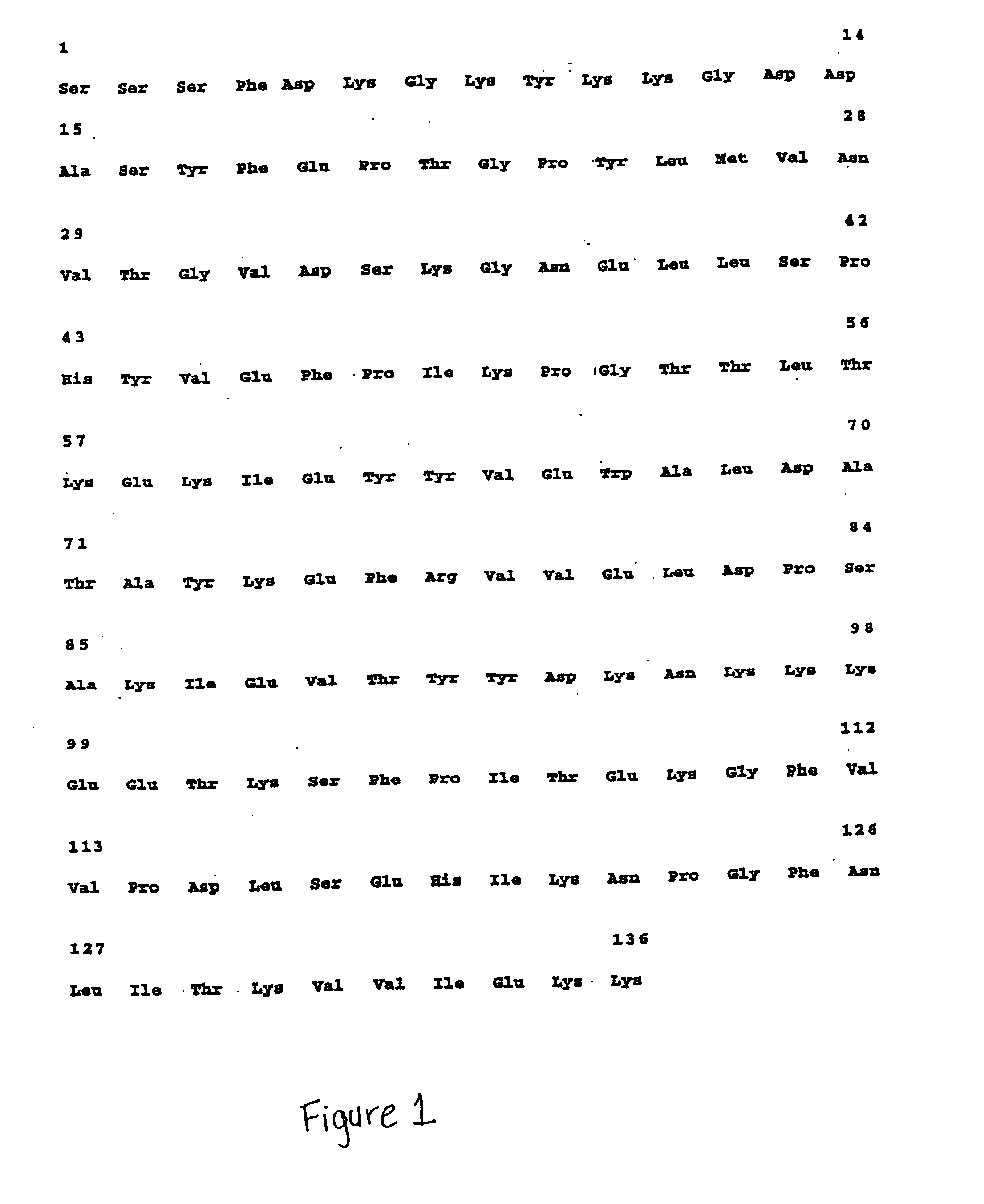 Staphylokinase derivatives with polyethyleneglycol