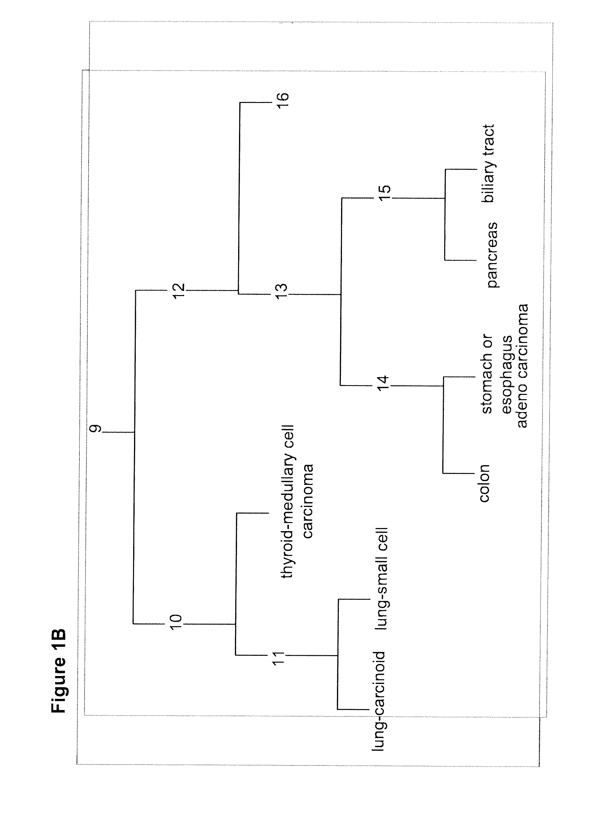 Gene expression signature for classification of tissue of origin of tumor samples