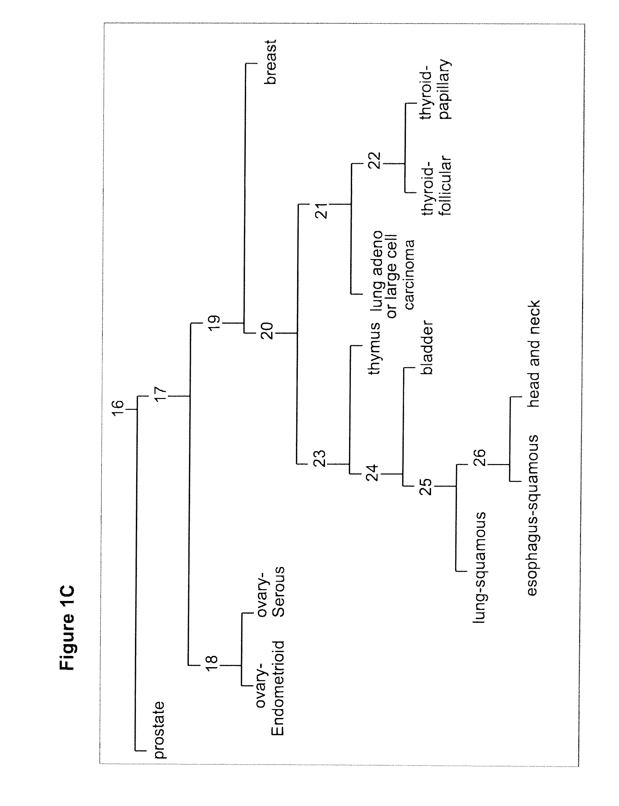 Gene expression signature for classification of tissue of origin of tumor samples