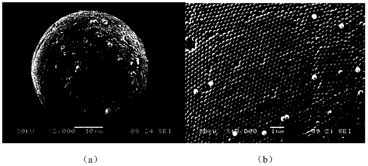 A kind of polystyrene-acrylic acid polymer microsphere and preparation method thereof