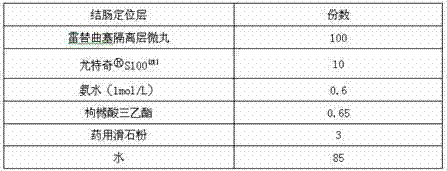 Raltitrexed colon specific pellet and preparation method thereof