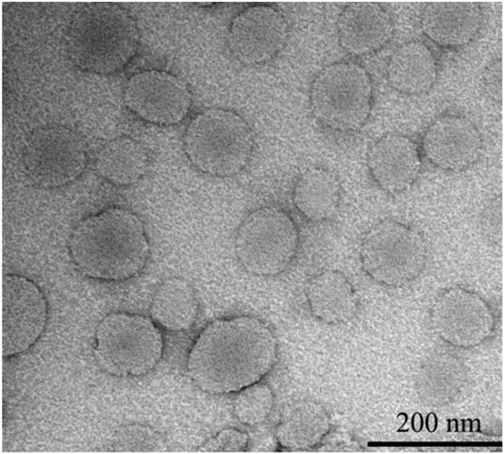 Compound nano-diagnosis preparation and preparation method of same