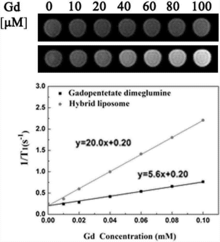 Compound nano-diagnosis preparation and preparation method of same