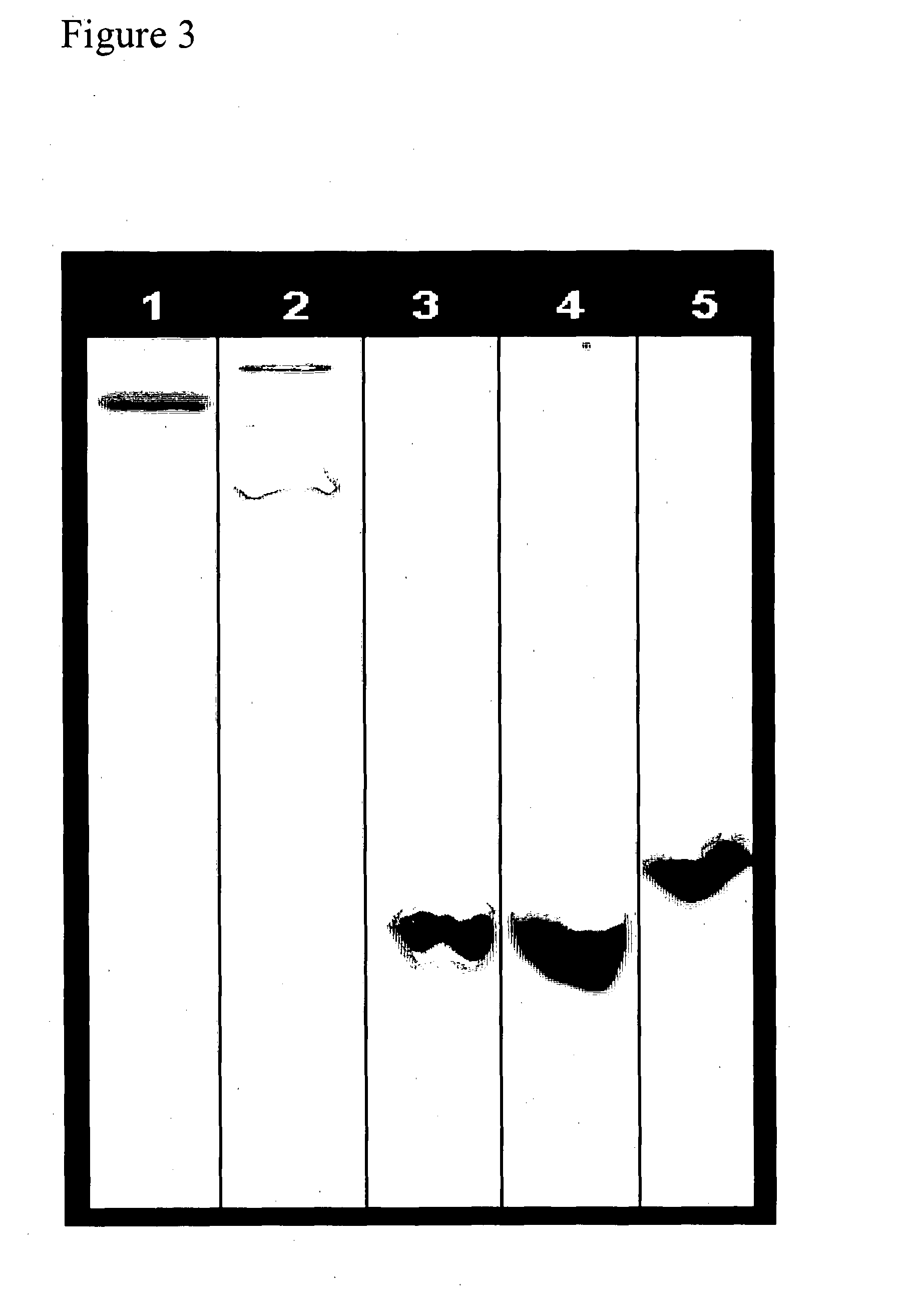 Methods of Identifying and Characterizing Natural Product Gene Clusters